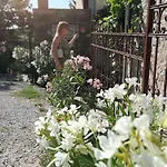 Nostalgia - Popetre Villa