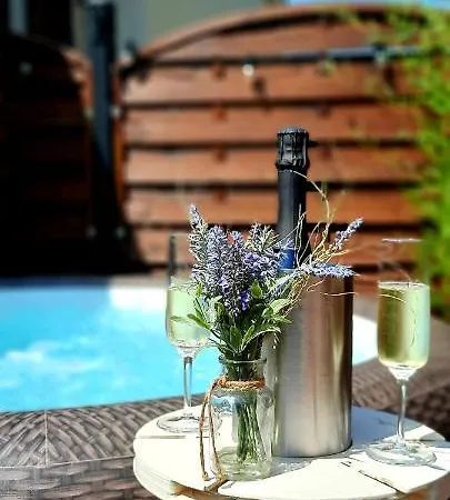 Holiday home Nostalgia Pool & Wellness *