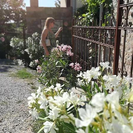 Villa Nostalgia Pool & Wellness Nyaraló