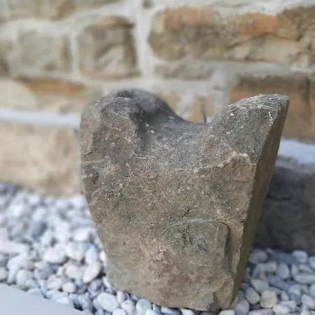 Private Nostalgia With Private Pool - Istria - Koper Hinterland בית נופש