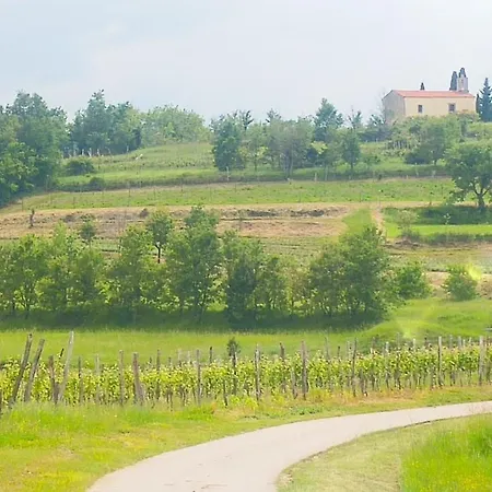 Villa Nostalgia - With Private Heated Pool, Jacuzzi And Sauna Koper