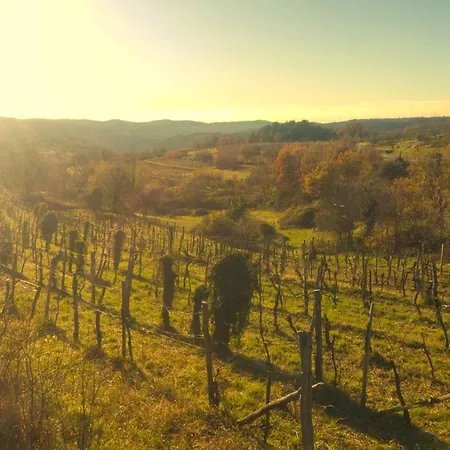 Nostalgia Pool & Wellness * Gračišče