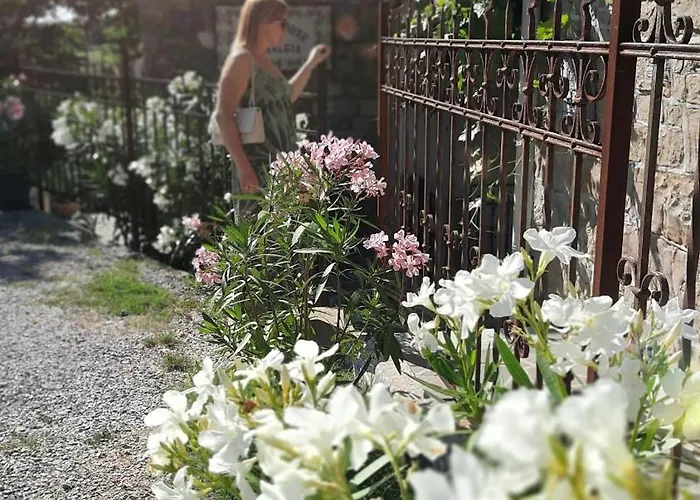 Nostalgia Pool & Wellness Vakantiehuis