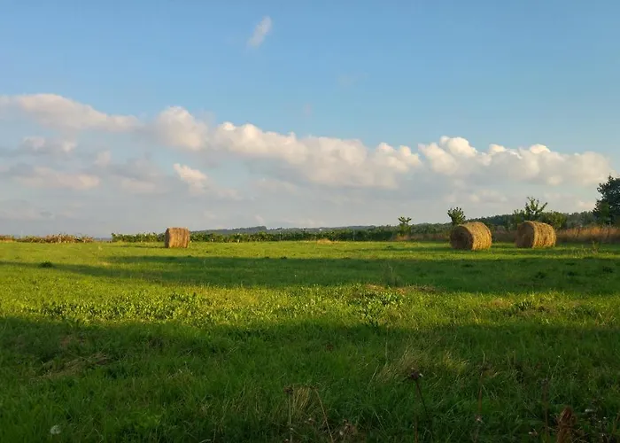 Nostalgia Pool & Wellness Vakantiehuis Gračišče