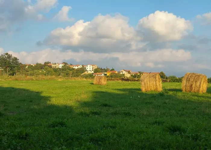 Nostalgia Pool & Wellness *