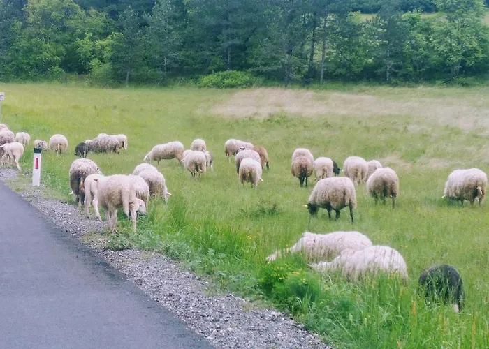 Vakantiehuis Nostalgia Pool & Wellness Gračišče
