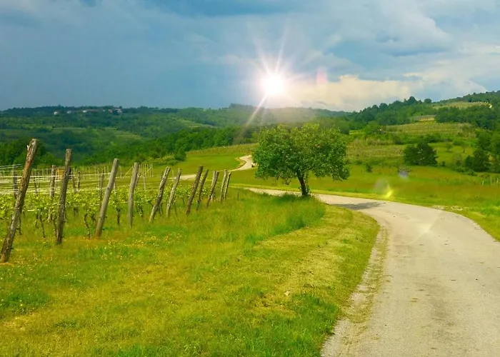 Nostalgia Pool & Wellness Vakantiehuis Gračišče