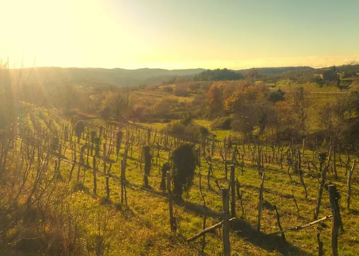 Nostalgia Pool & Wellness * Gračišče